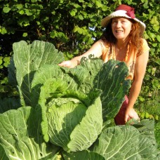 Divining the Landscape with Alanna Moore - Saturday 19th August 2023